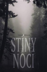 stiny-noci-465696